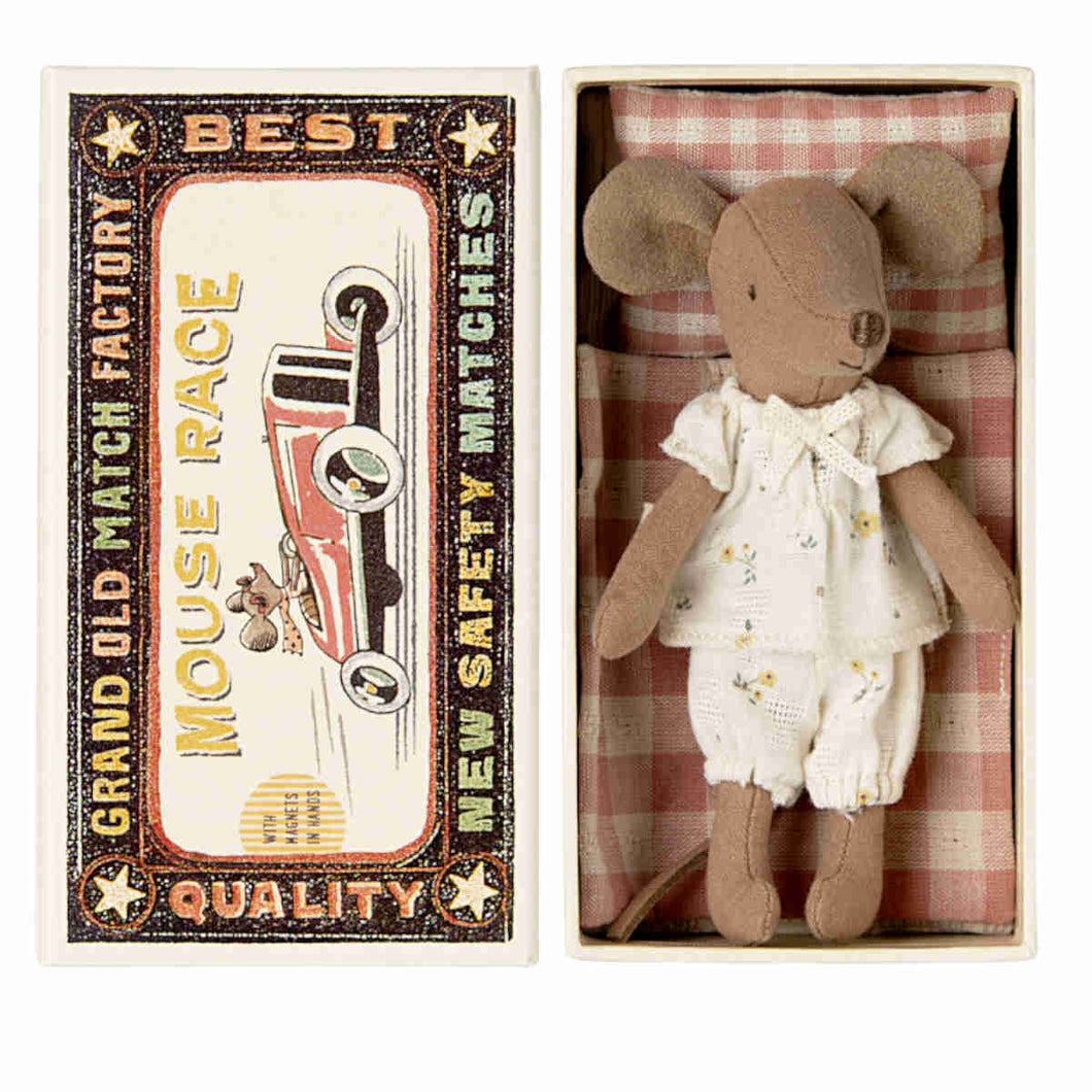 Big sister mouse in box