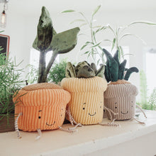 Succulent Plant Windowsill Plush