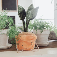 Monstera Plush Windowsill Plant