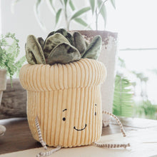 Succulent Plant Windowsill Plush