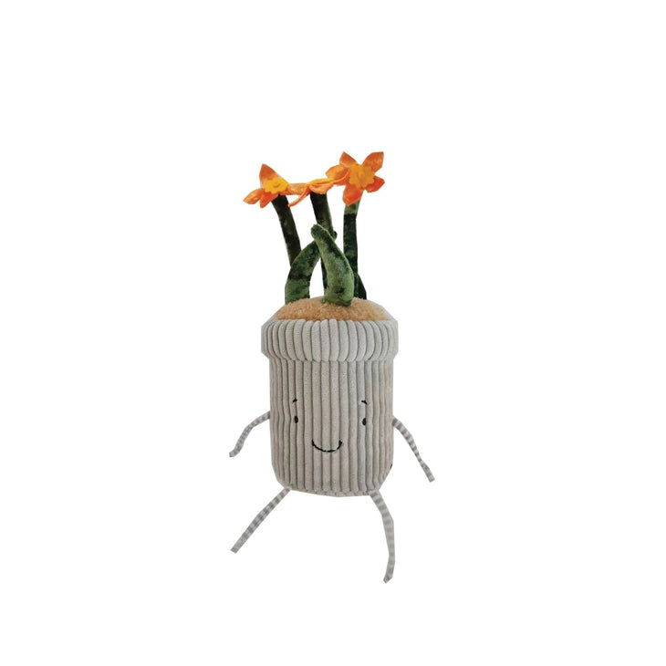 Window Sill-ies Daffodill