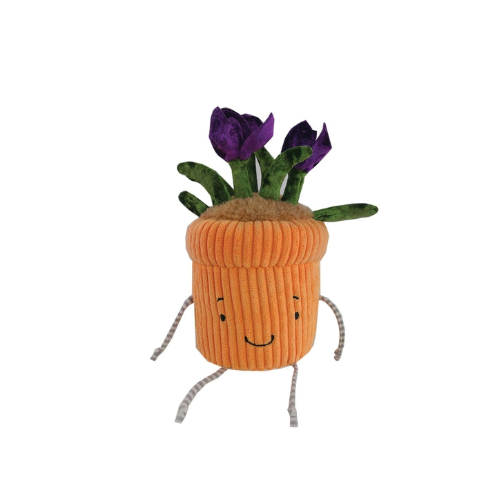 Window Sill-ies Crocus