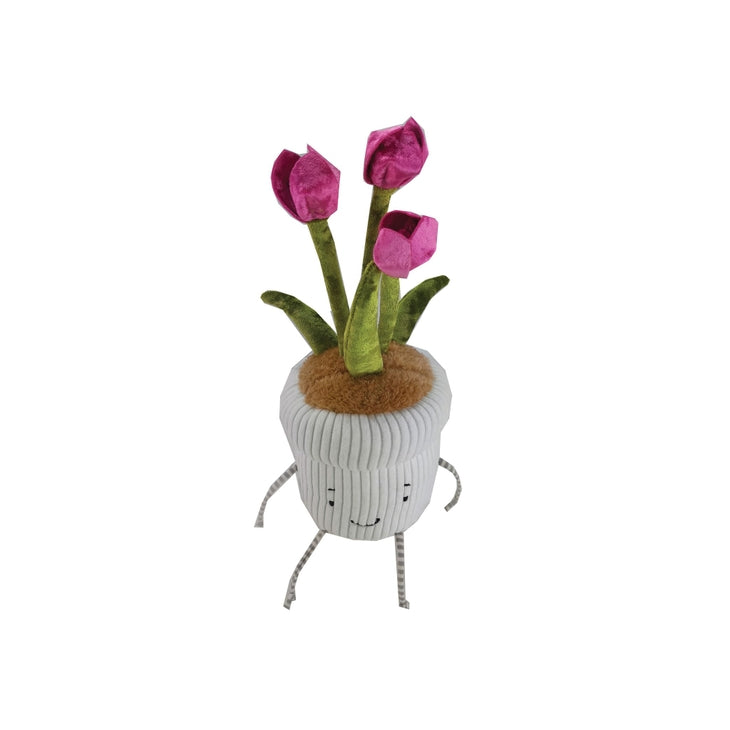 Window Sill-ies Tulip