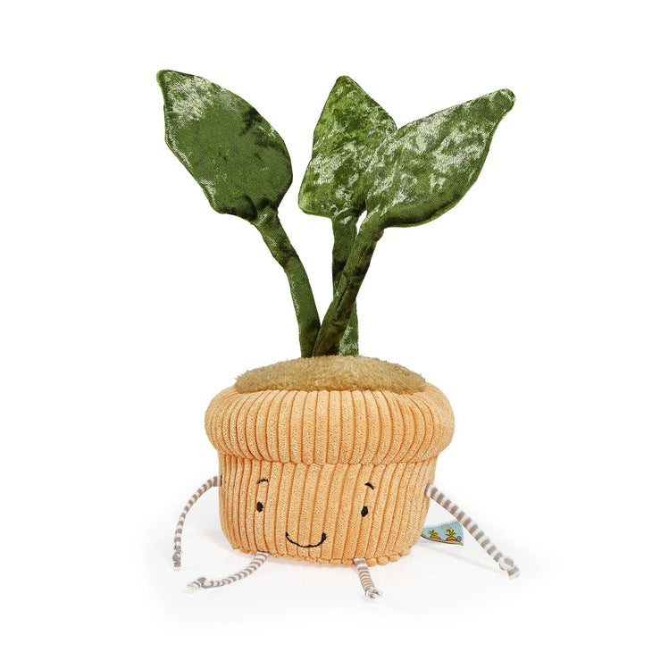 Monstera Plush Windowsill Plant