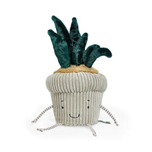 Snake Plant Windowsill Plush