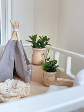 Dollhouse Potted Plant | Various Sizes + Styles