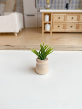 Dollhouse Potted Plant | Various Sizes + Styles