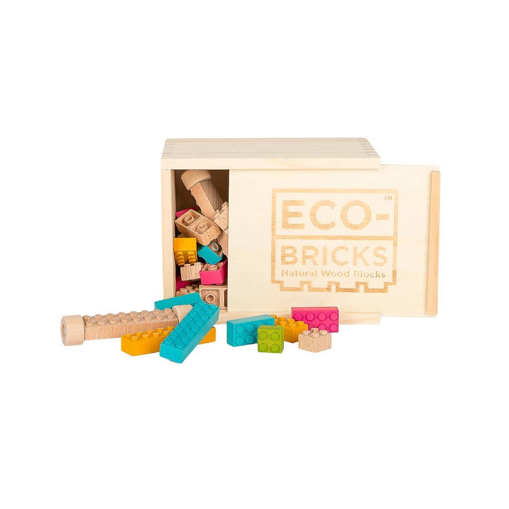 Eco-bricks Color 54 Piece