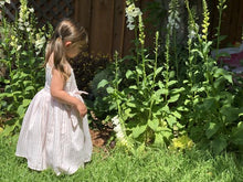 Jennie Dress in Cherry Stripe